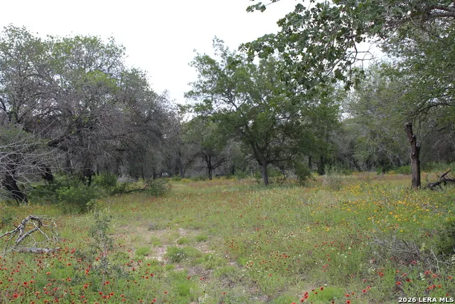 24222 Mathis Elmendorf, TX 78112