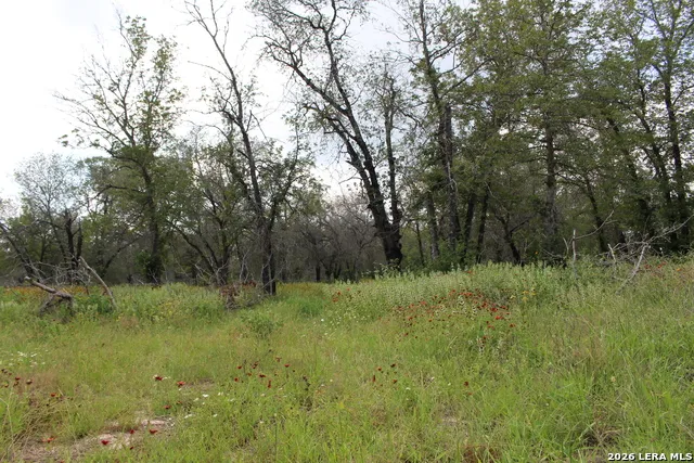 24222 Mathis Elmendorf, TX 78112
