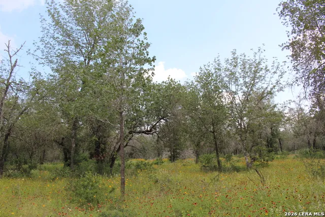 24222 Mathis Elmendorf, TX 78112