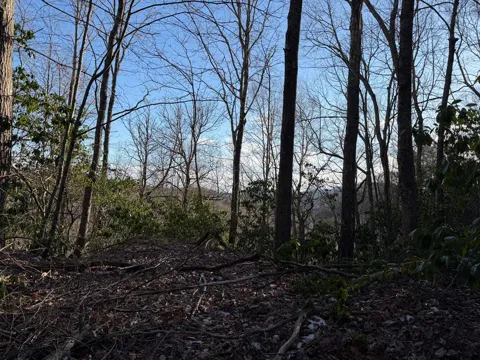 Lot 43 Laurel Lane