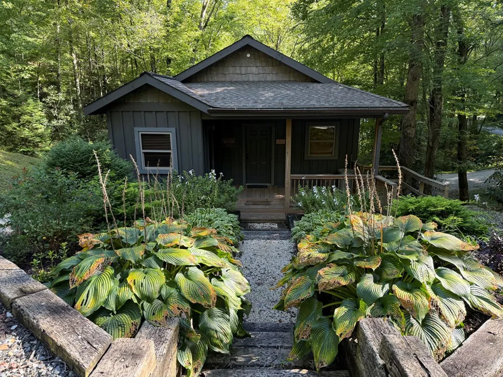 Mystic Ridge Way W Topton, NC 28781