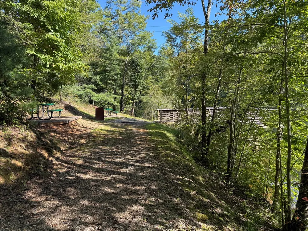 Mystic Ridge Way W Topton, NC 28781