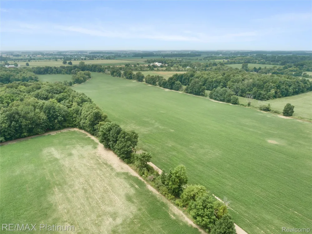 1136 S Nichols Road Clayton Charter Township, MI 48473
