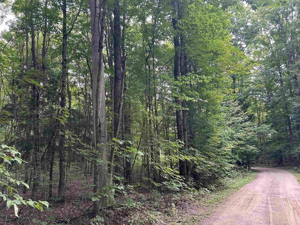 Langs Lane Inland Township, MI 49643