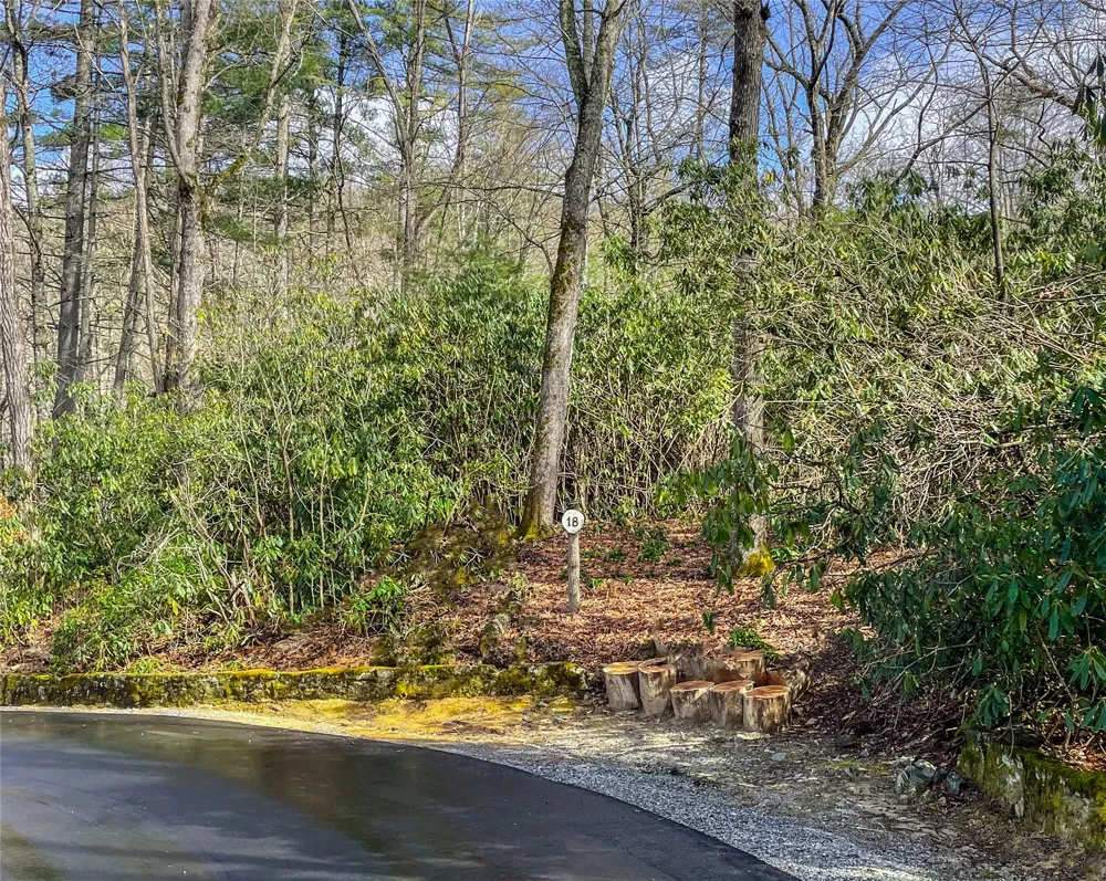 Lot 18 Saratay Falls Road Cashiers, NC 28741