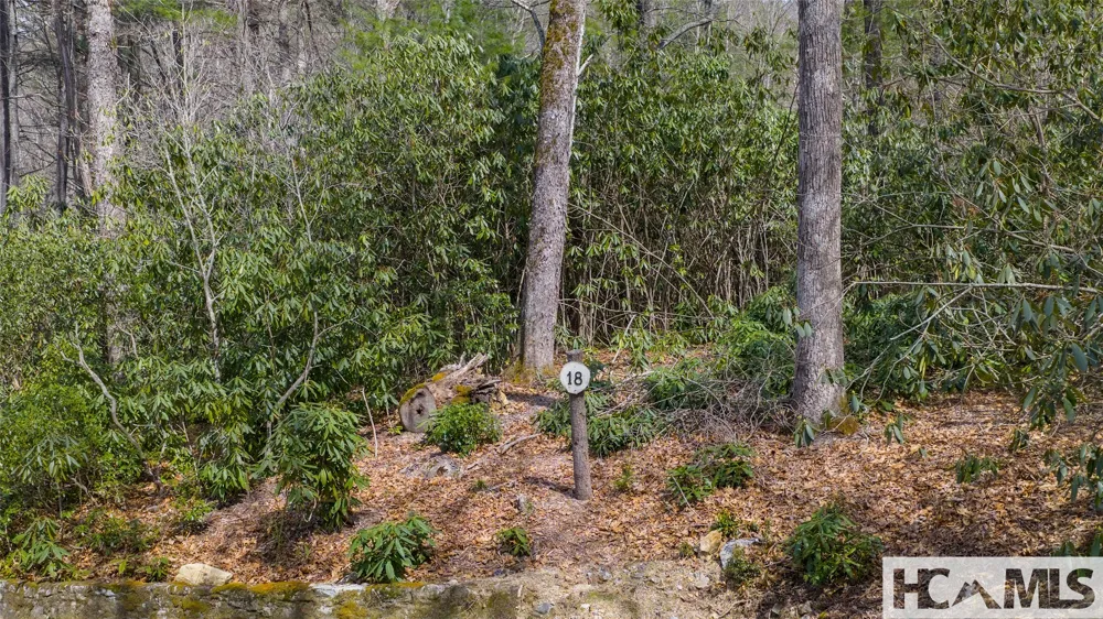 Lot 18 Saratay Falls Road Cashiers, NC 28741