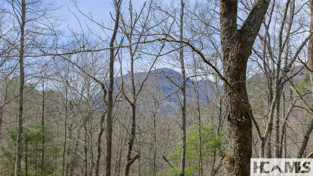 Lot 18 Saratay Falls Road Cashiers, NC 28741