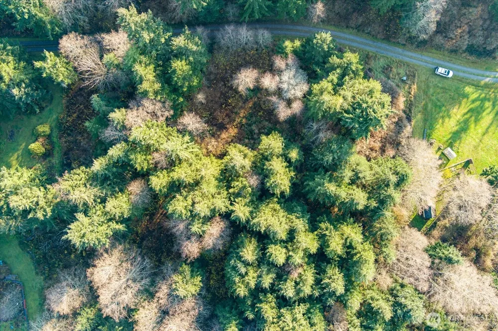 261 Aloha Place #Lot #2 Coupeville, WA 98239