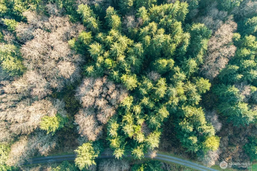 261 Aloha Place #Lot #2 Coupeville, WA 98239