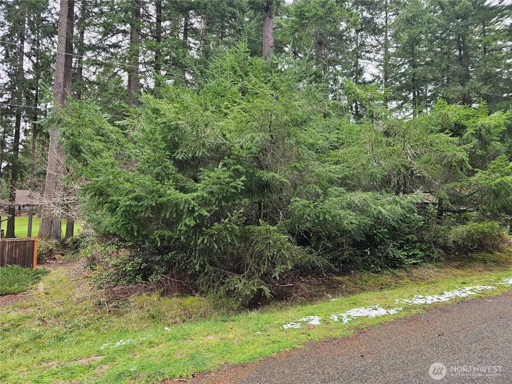 11005 Pioneer Drive Anderson Island, WA 98303