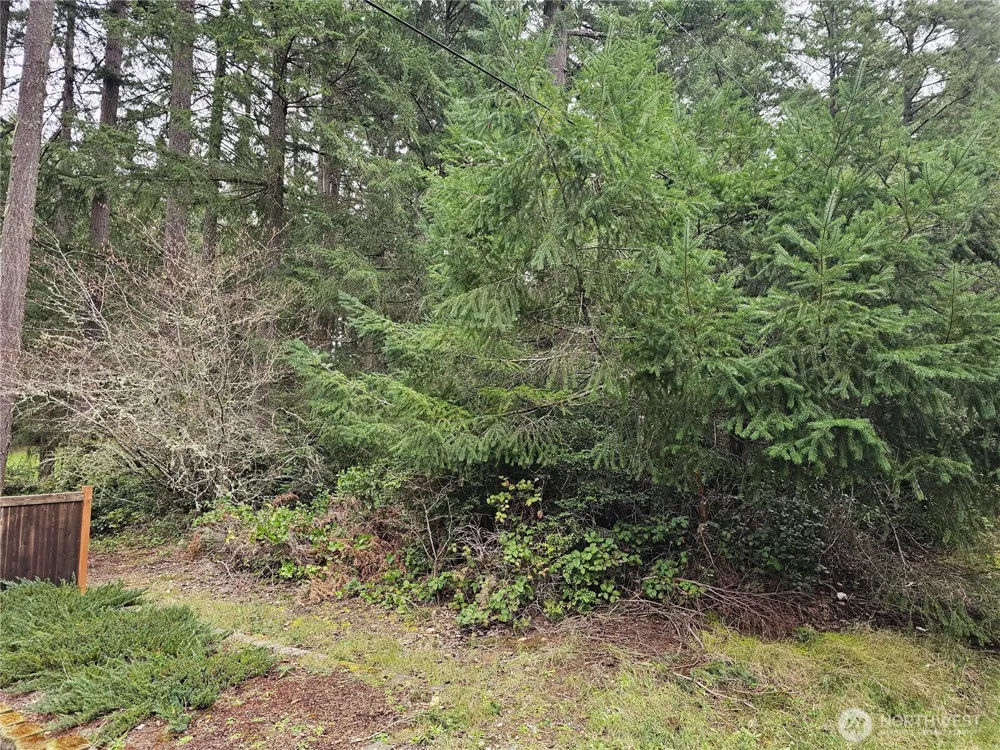 11005 Pioneer Drive Anderson Island, WA 98303