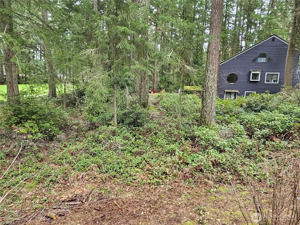 11005 Pioneer Drive Anderson Island, WA 98303