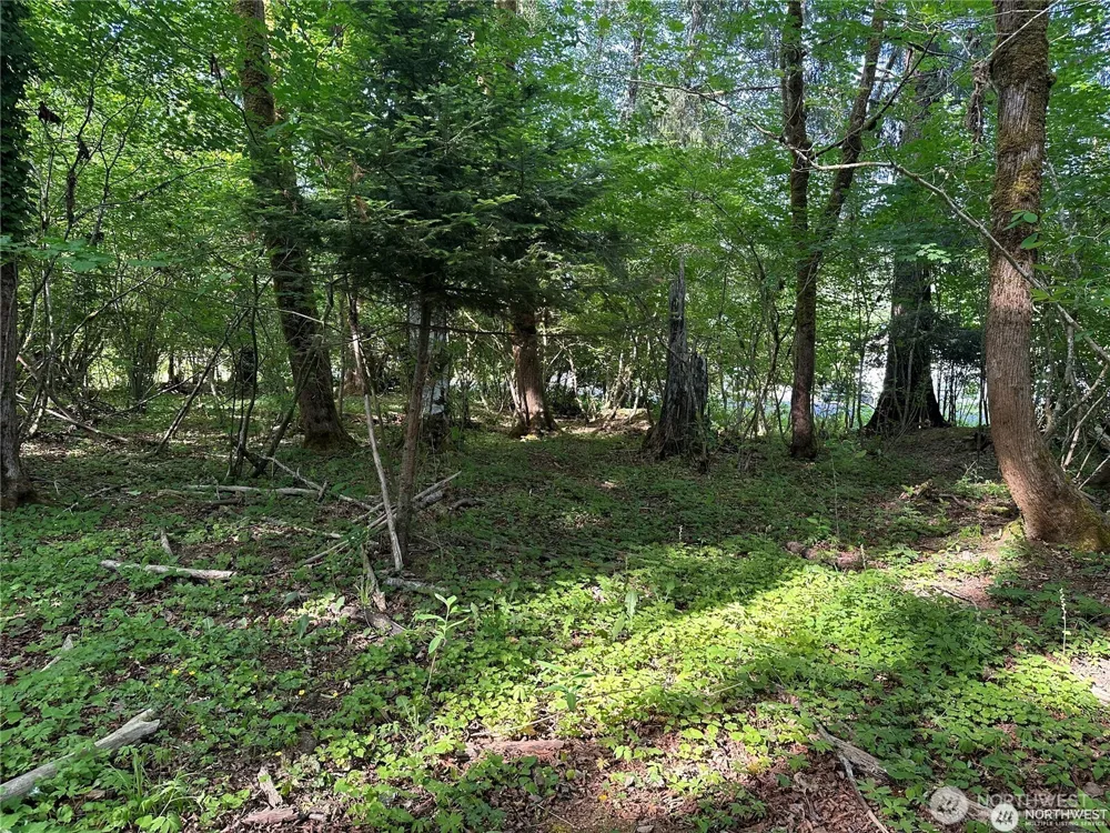 0 W Deegan Road Shelton, WA 98584
