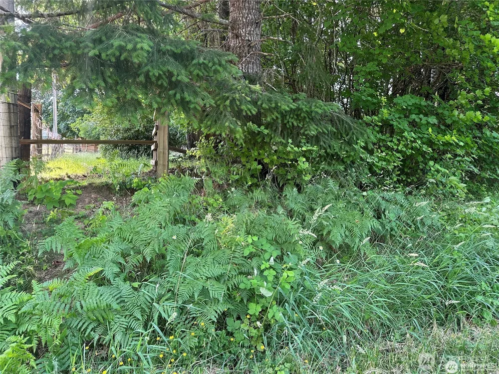 0 W Deegan Road Shelton, WA 98584