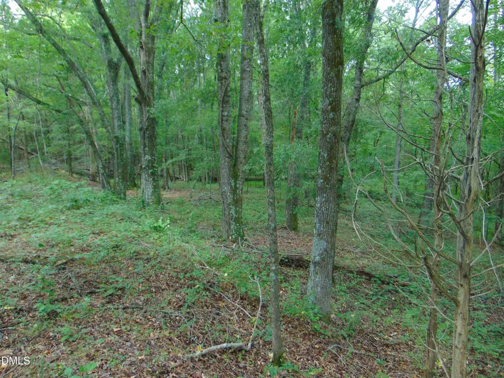 Lot 2 Caviness Jordan Road Cedar Grove, NC 27231