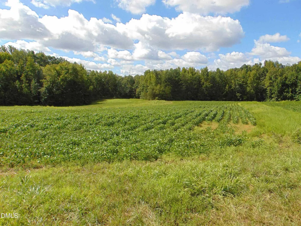Lot 2 Caviness Jordan Road Cedar Grove, NC 27231