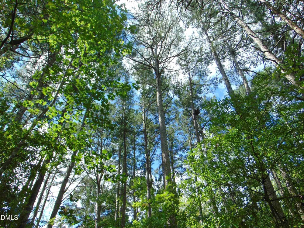 Lot 2 Caviness Jordan Road Cedar Grove, NC 27231