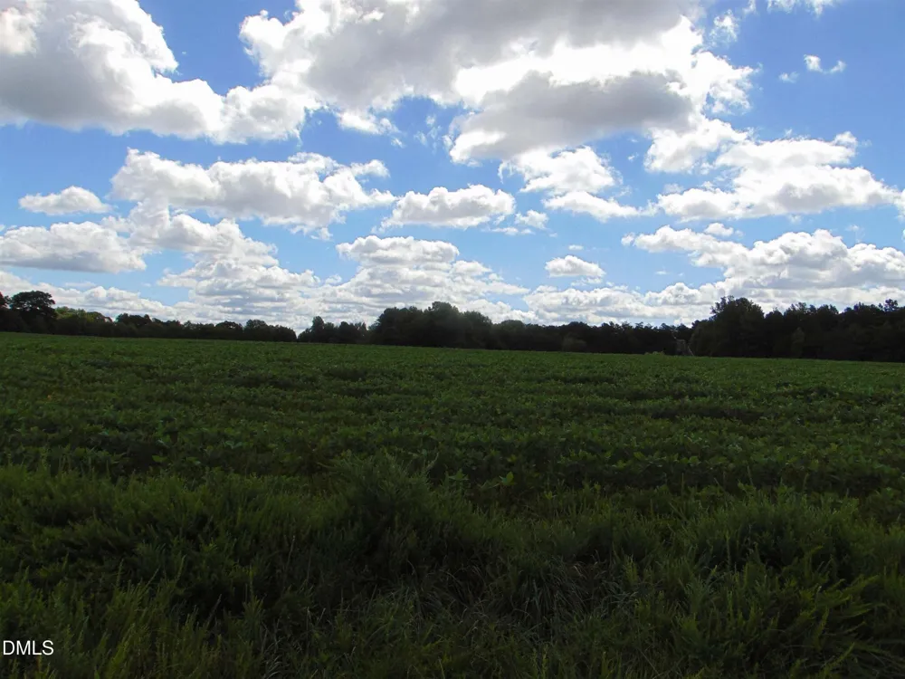 Lot 2 Caviness Jordan Road Cedar Grove, NC 27231