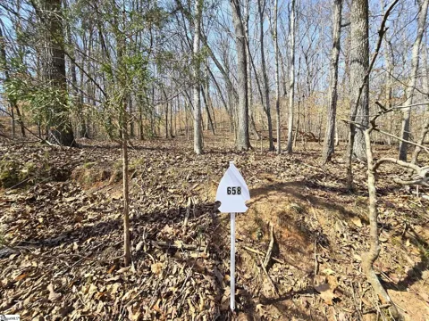 Lot 658 S Sundew Drive