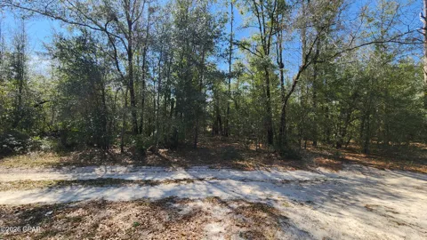 Edgewood Road