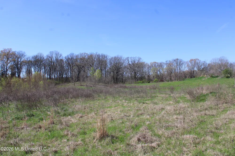 11 Barton Desoto Road Olive Branch, MS 38654