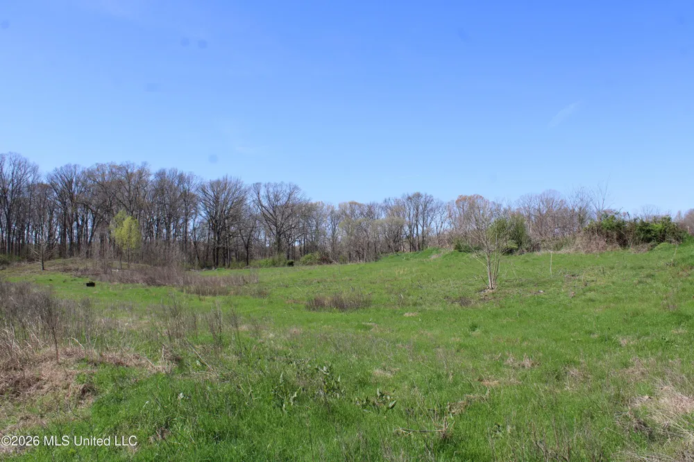 11 Barton Desoto Road Olive Branch, MS 38654