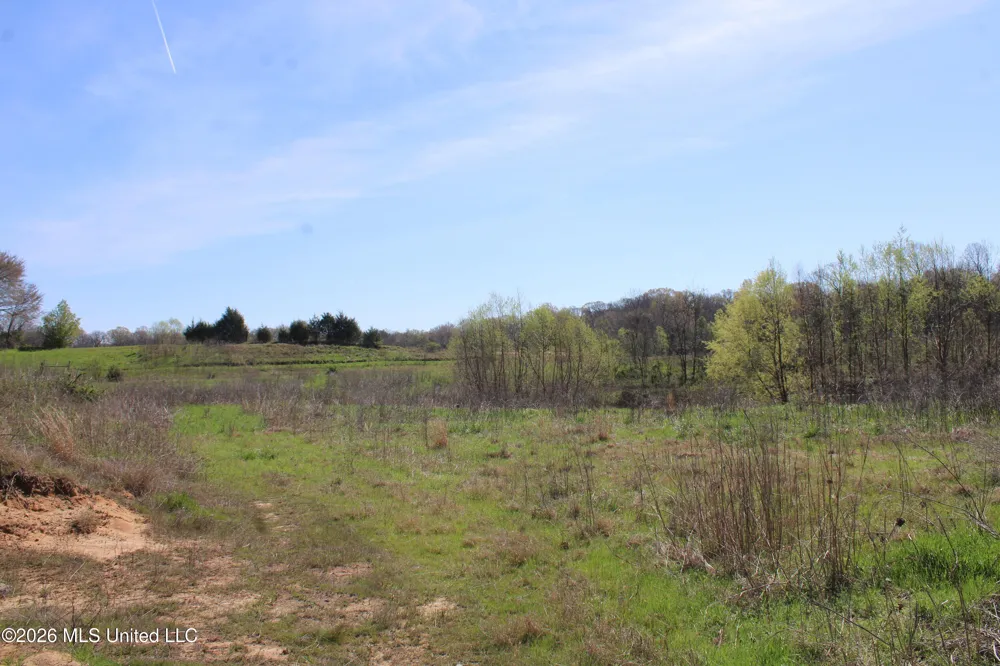 11 Barton Desoto Road Olive Branch, MS 38654