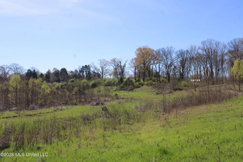 11 Barton Desoto Road Olive Branch, MS 38654