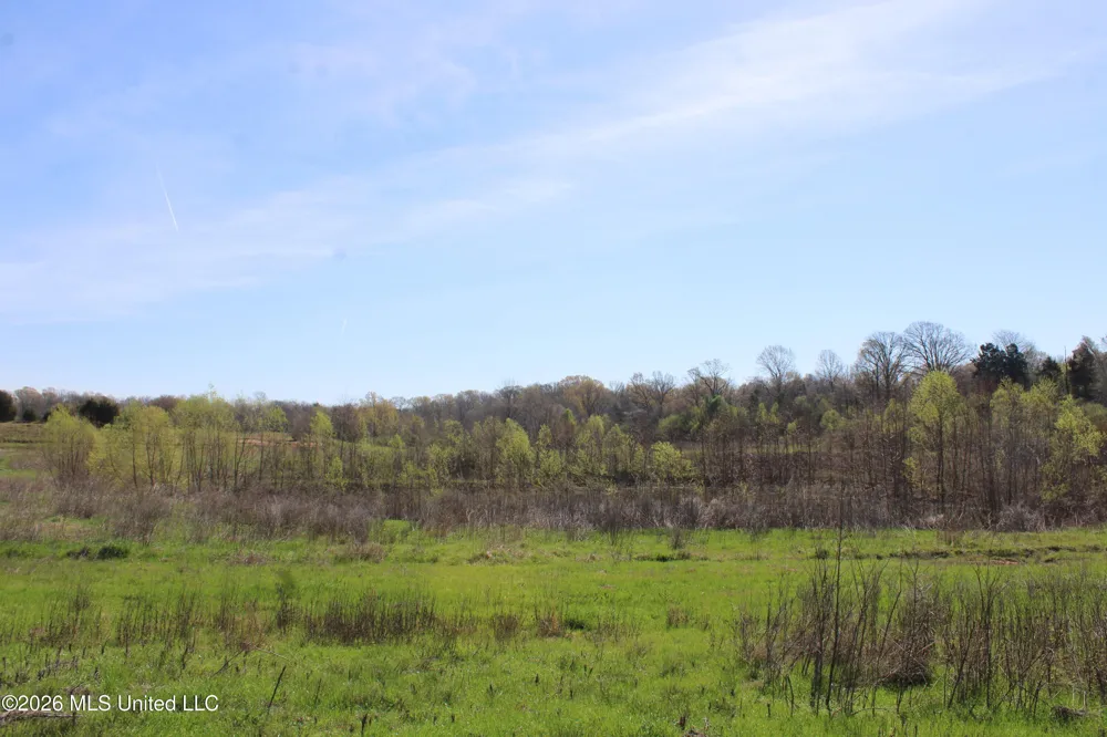 11 Barton Desoto Road Olive Branch, MS 38654