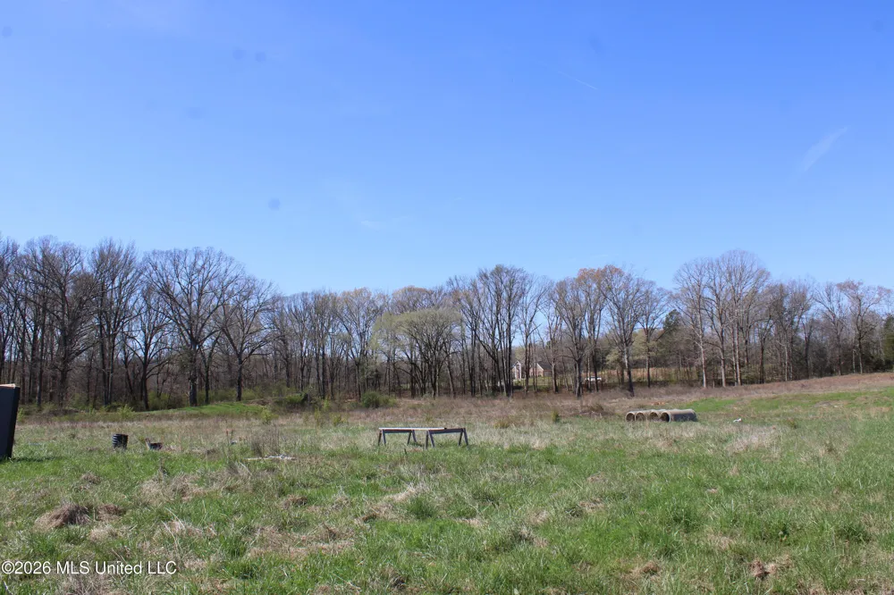 11 Barton Desoto Road Olive Branch, MS 38654