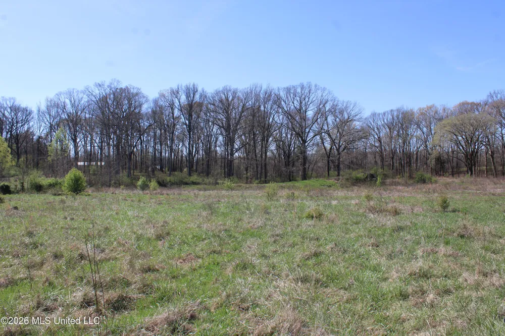 11 Barton Desoto Road Olive Branch, MS 38654