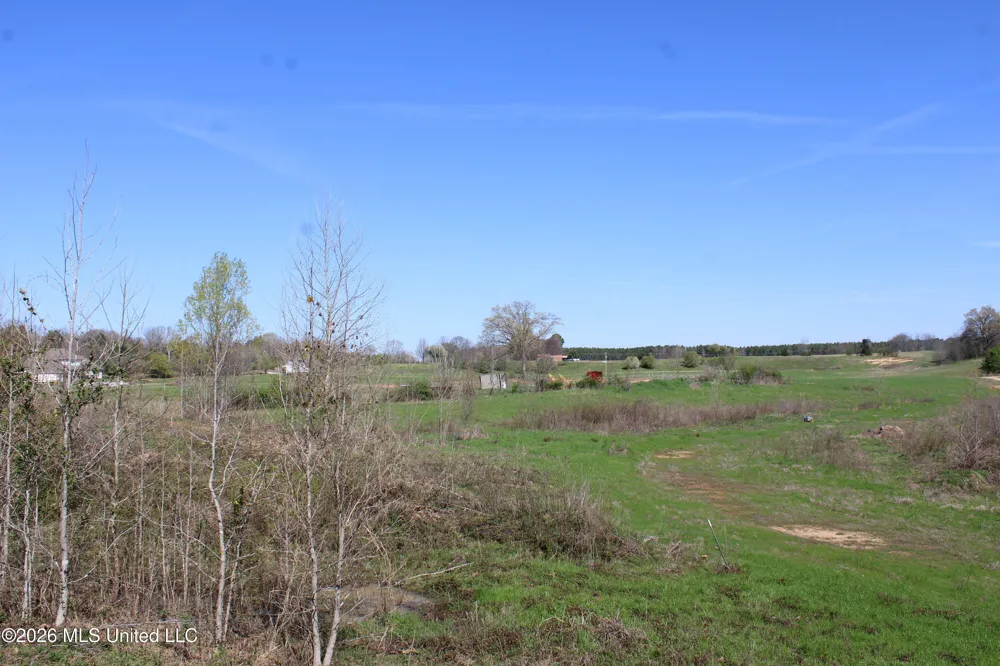 12 Barton Desoto Road Olive Branch, MS 38654