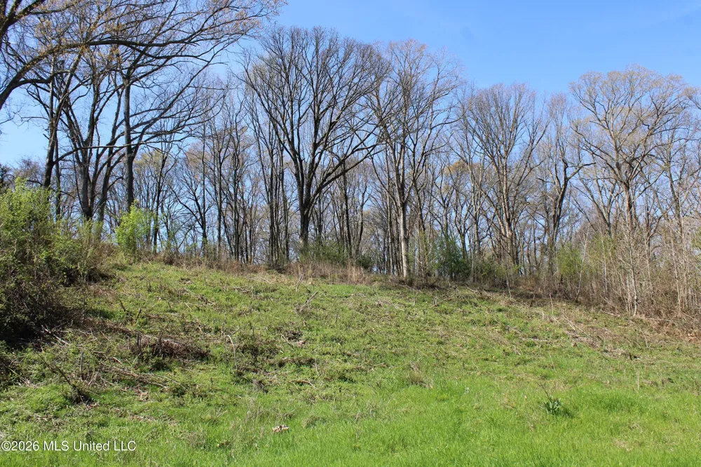 12 Barton Desoto Road Olive Branch, MS 38654