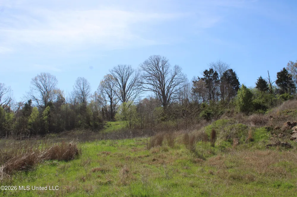 12 Barton Desoto Road Olive Branch, MS 38654