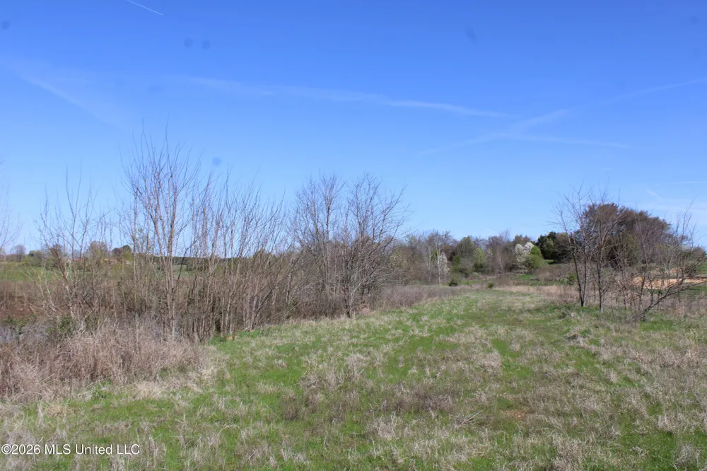 12 Barton Desoto Road Olive Branch, MS 38654