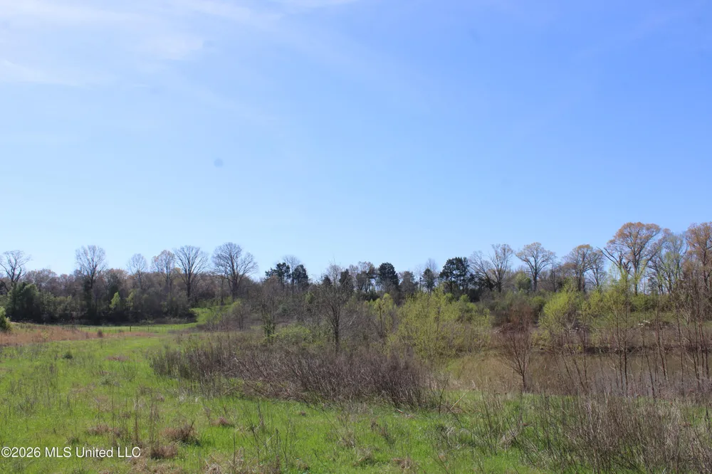 12 Barton Desoto Road Olive Branch, MS 38654