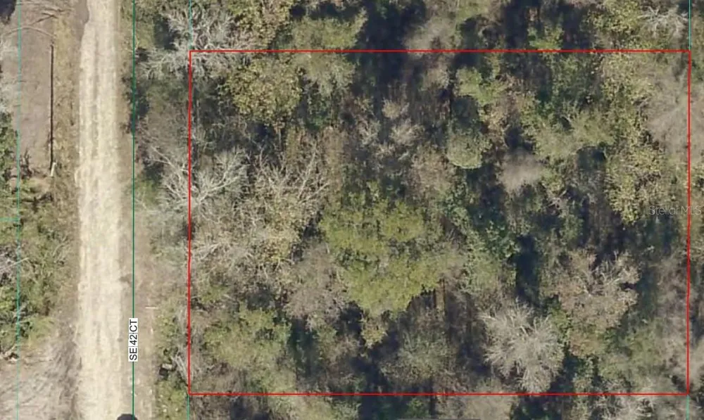 0000 SE 42ND COURT Belleview, FL 34420