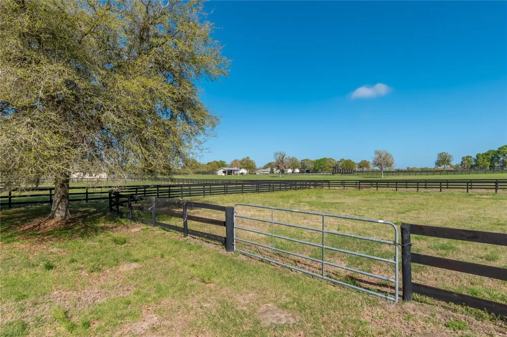 8785 NW 63RD STREET ocala, FL 34482