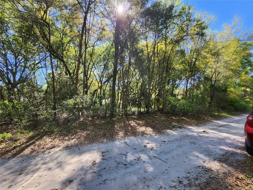 TBD SE 36TH COURT Summerfield, FL 34491