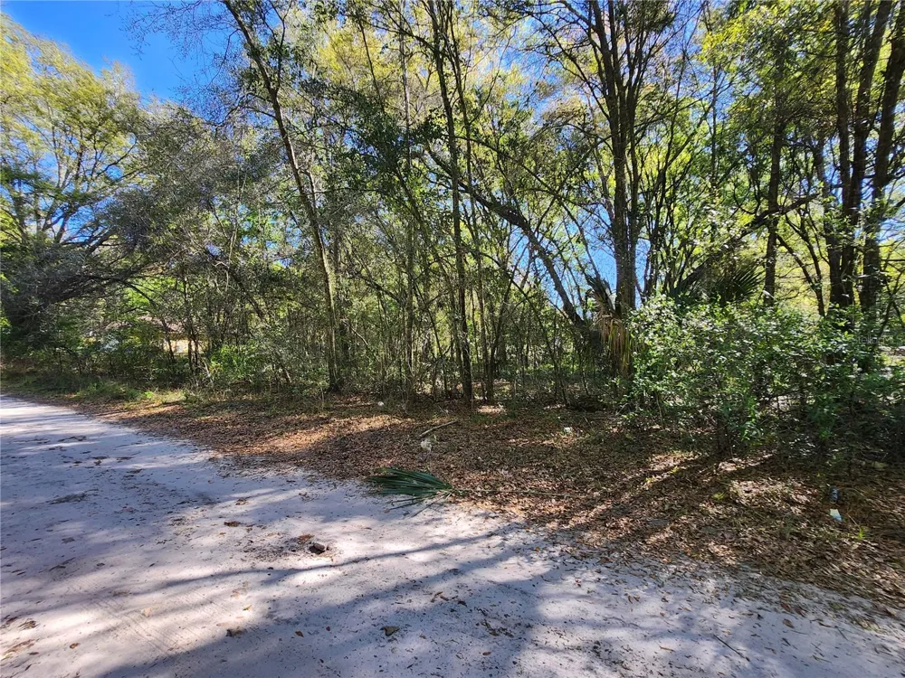 TBD SE 36TH COURT Summerfield, FL 34491