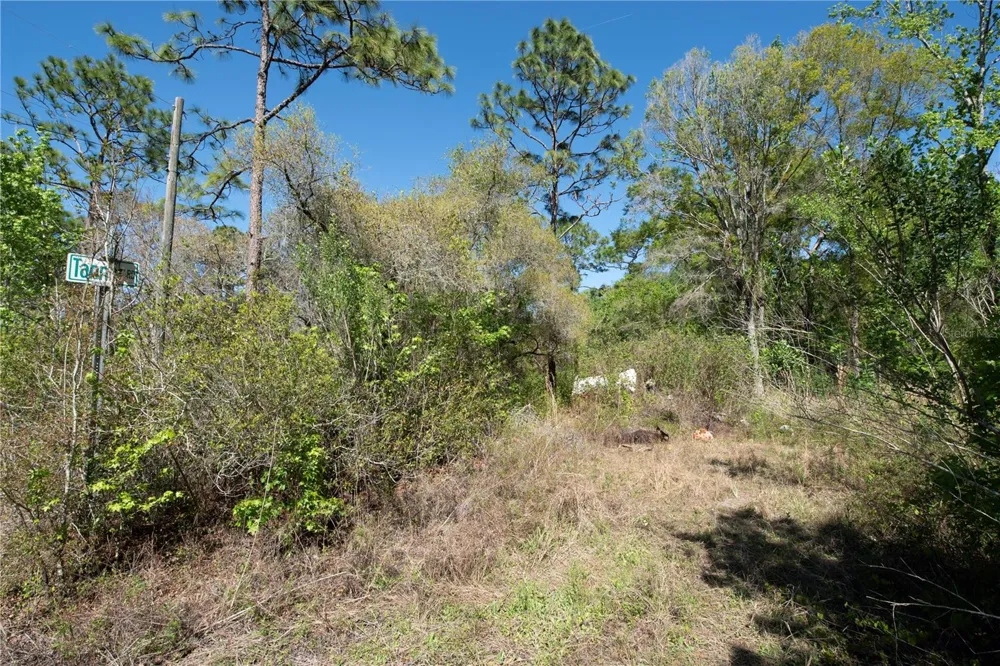 12934 TANNER ROAD New Port Richey, FL 34654