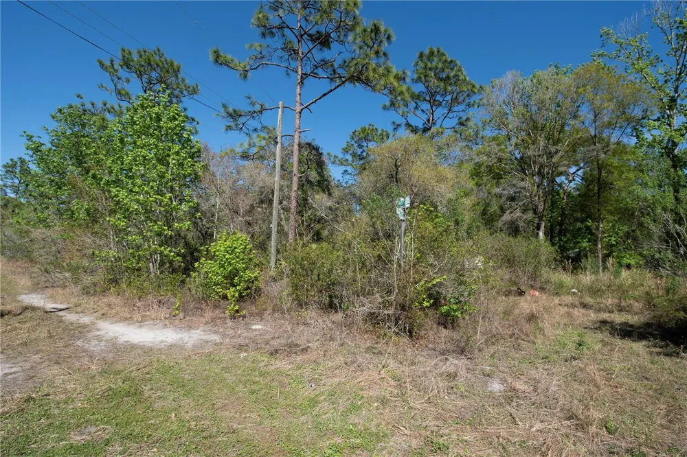 12934 TANNER ROAD New Port Richey, FL 34654