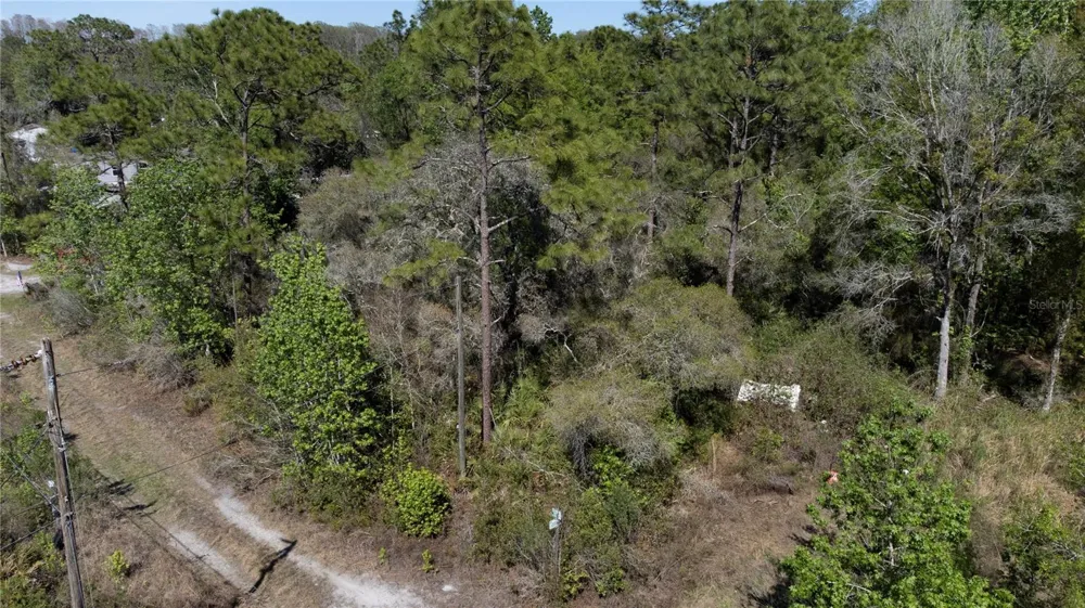 12934 TANNER ROAD New Port Richey, FL 34654