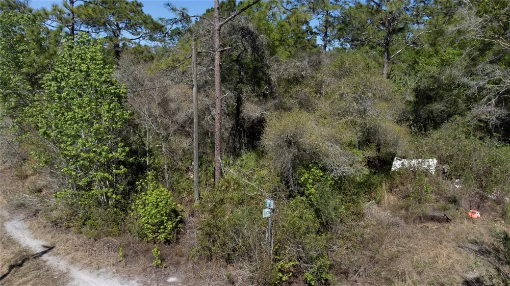 12934 TANNER ROAD New Port Richey, FL 34654
