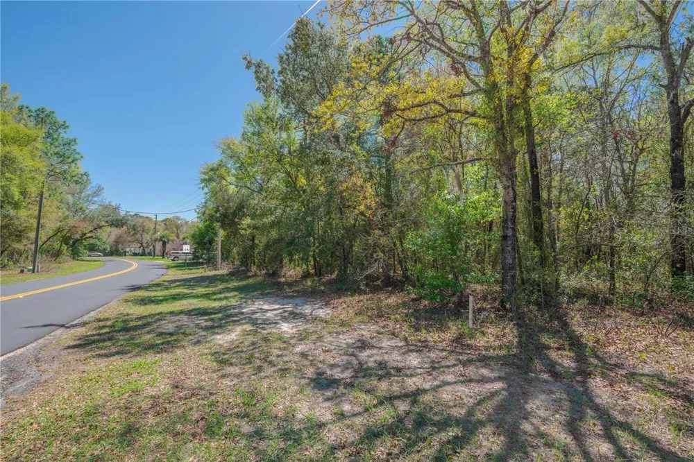 1 PINE STREET Homosassa, FL 34446