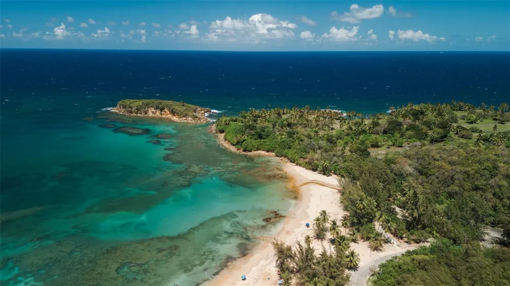 Carr. 690 LOTE #5 BO. CERRO GORDO Vega Alta, PR 00692