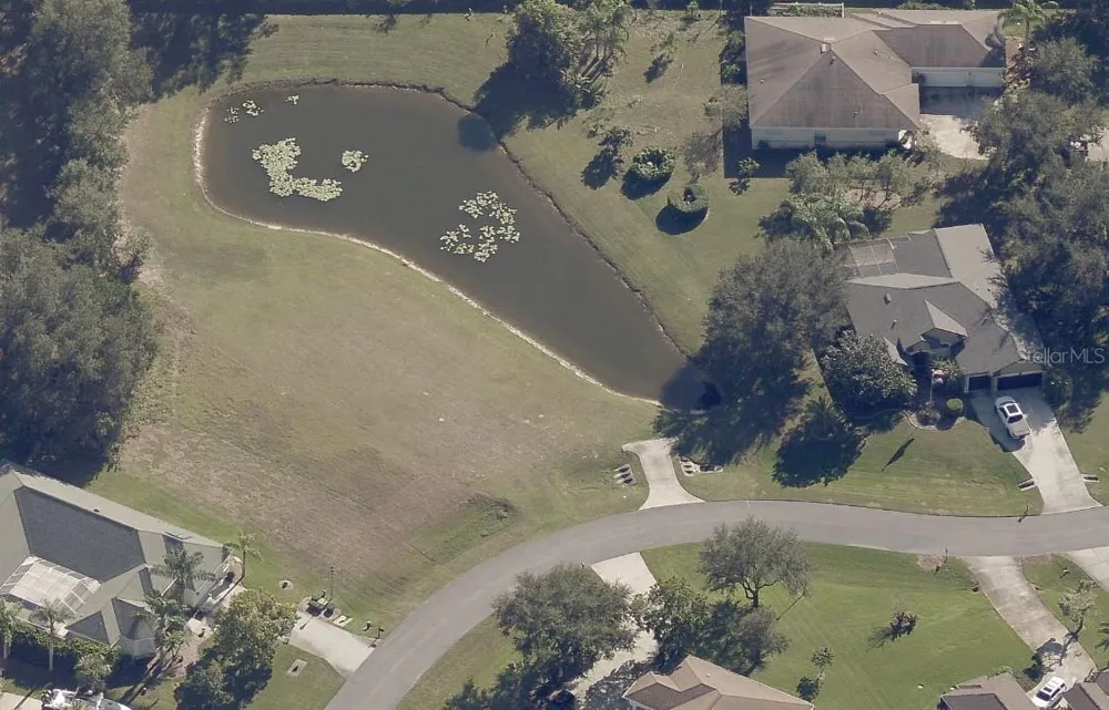 19915 DOLORES ANN COURT Lutz, FL 33549