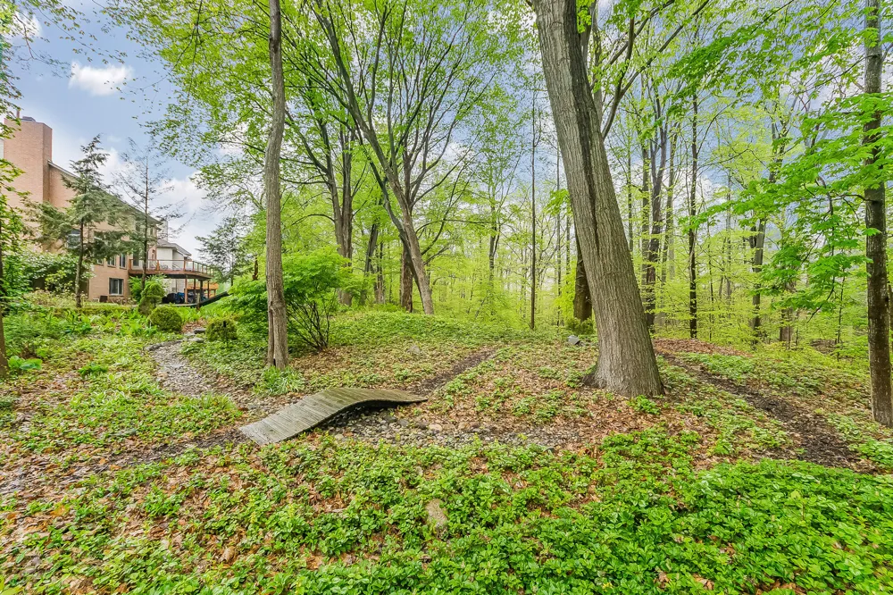 16646 Brooklane Boulevard Northville, MI 48168
