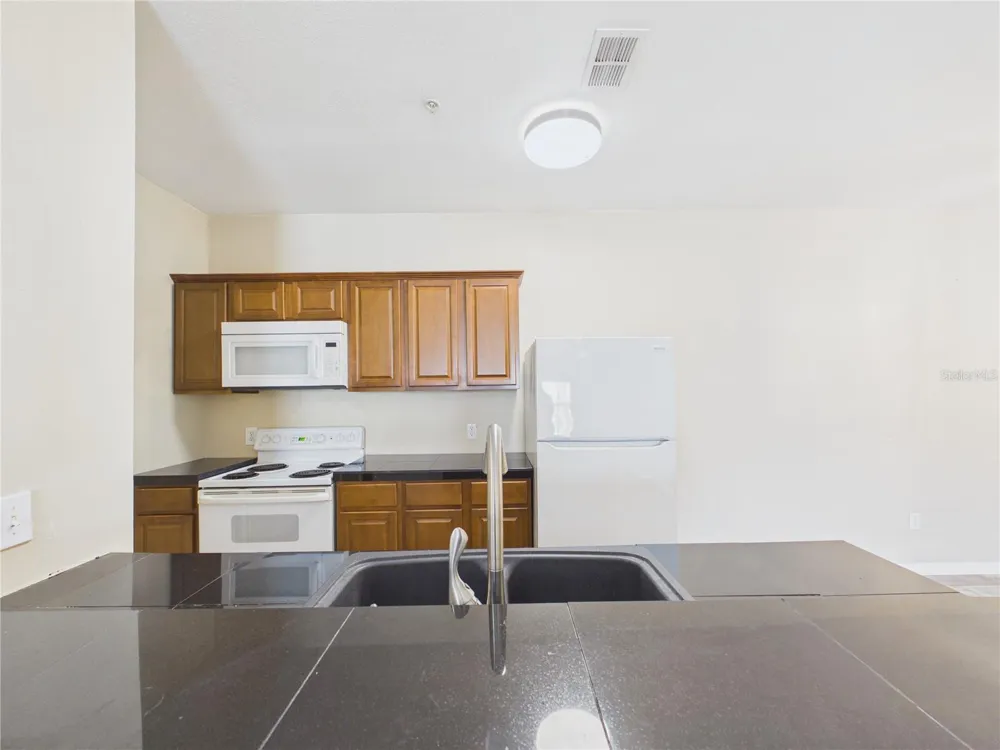 16305 ENCLAVE VILLAGE DRIVE #102 Tampa, FL 33647