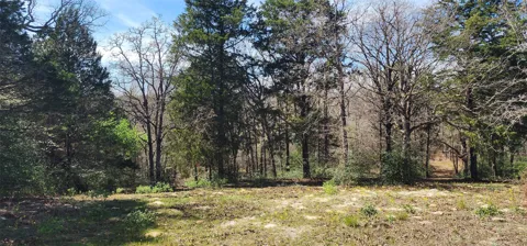 14612 County Road 1114